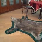 Magyar Természettudományi Múzeum Mátra Múzeuma Gyöngyös - Belső