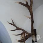 Magyar Természettudományi Múzeum Mátra Múzeuma Gyöngyös - Belső