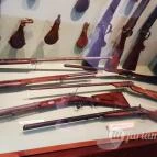 Magyar Természettudományi Múzeum Mátra Múzeuma Gyöngyös - Belső