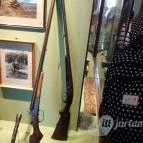 Magyar Természettudományi Múzeum Mátra Múzeuma Gyöngyös - Belső