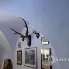 Magyar Természettudományi Múzeum Mátra Múzeuma Gyöngyös - Belső