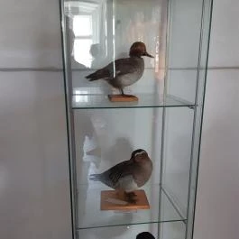 Magyar Természettudományi Múzeum Mátra Múzeuma, Gyöngyös - Belső