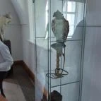 Magyar Természettudományi Múzeum Mátra Múzeuma Gyöngyös - Belső