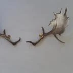 Magyar Természettudományi Múzeum Mátra Múzeuma Gyöngyös - Belső