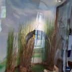 Magyar Természettudományi Múzeum Mátra Múzeuma Gyöngyös - Belső