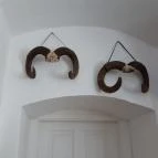 Magyar Természettudományi Múzeum Mátra Múzeuma Gyöngyös - Belső