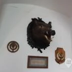 Magyar Természettudományi Múzeum Mátra Múzeuma Gyöngyös - Belső