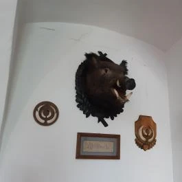 Magyar Természettudományi Múzeum Mátra Múzeuma, Gyöngyös - Belső