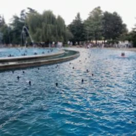 Margitszigeti szökőkút, Budapest - Egyéb