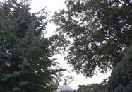 Zenélő kút Budapest