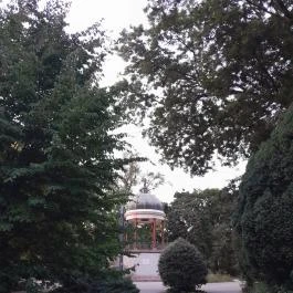 Zenélő kút , Budapest - Egyéb