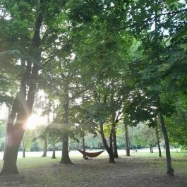 Margit-sziget, Budapest - Egyéb