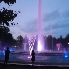 Margitszigeti szökőkút, Budapest - Egyéb