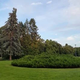 Margit-sziget, Budapest - Egyéb