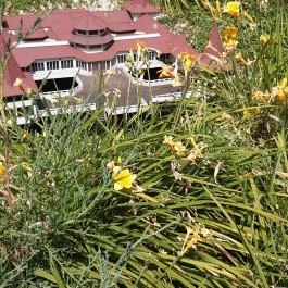 Mini Magyarország, Szarvas - Egyéb