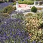 Mini Magyarország Szarvas - Egyéb