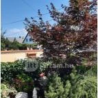 Nagy Apartmanház Balatonlelle - Egyéb