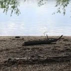 Nagymarosi Duna-part Nagymaros - Egyéb