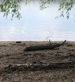 Nagymarosi Duna-part