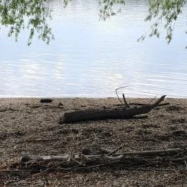 Nagymarosi Duna-part Nagymaros - Egyéb