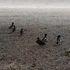 Nagymarosi Duna-part Nagymaros - Egyéb