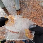 Nagymarosi Duna-part Nagymaros - Egyéb