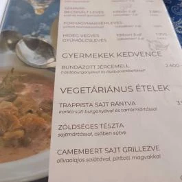 Öreg Tanyacsárda Étterem Lajosmizse - Étlap/itallap