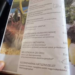 Öreg Tanyacsárda Étterem Lajosmizse - Étlap/itallap