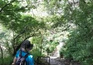 Őrtorony kilátó Tihany Őrtorony kilátó Tihany