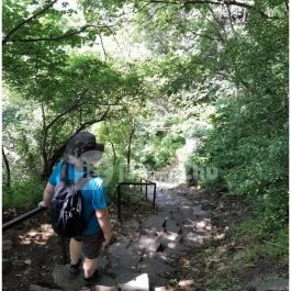 Őrtorony kilátó Tihany - Egyéb