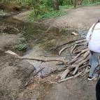 Paprikás-patak Solymár - Egyéb