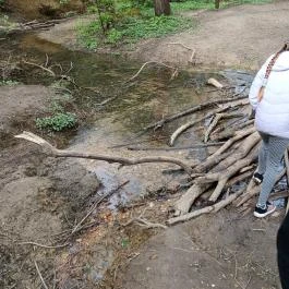 Paprikás-patak, Solymár - Egyéb