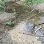 Paprikás-patak Solymár - Egyéb