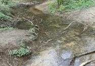 Paprikás-patak Solymár