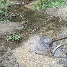 Paprikás-patak, Solymár - Egyéb