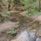 Paprikás-patak Solymár - Egyéb