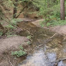 Paprikás-patak, Solymár - Egyéb