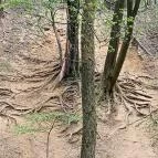 Paprikás-patak Solymár - Egyéb