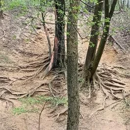 Paprikás-patak, Solymár - Egyéb