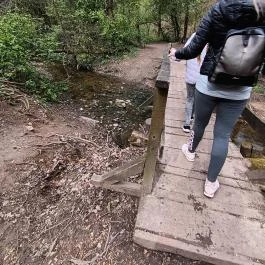 Paprikás-patak, Solymár - Egyéb