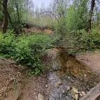 Paprikás-patak Solymár - Egyéb