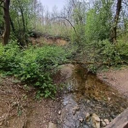 Paprikás-patak, Solymár - Egyéb