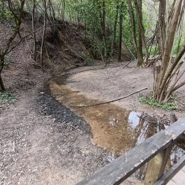 Paprikás-patak, Solymár - Egyéb