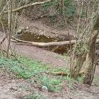 Paprikás-patak Solymár - Egyéb