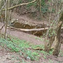 Paprikás-patak, Solymár - Egyéb