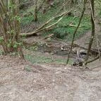 Paprikás-patak Solymár - Egyéb