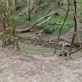 Paprikás-patak, Solymár - Egyéb