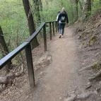 Paprikás-patak Solymár - Egyéb