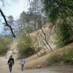 Paprikás-patak Solymár - Egyéb