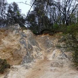 Paprikás-patak, Solymár - Egyéb